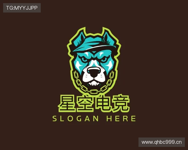 介绍星空电竞